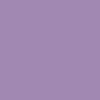 Purple Statice
