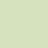 Shy Green