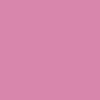 Pomperian Pink